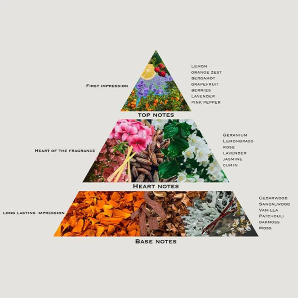 Building Your Signature Scent Collection