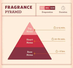Learn Perfume Notes