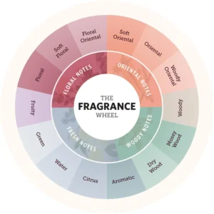 Understand Fragrance Families