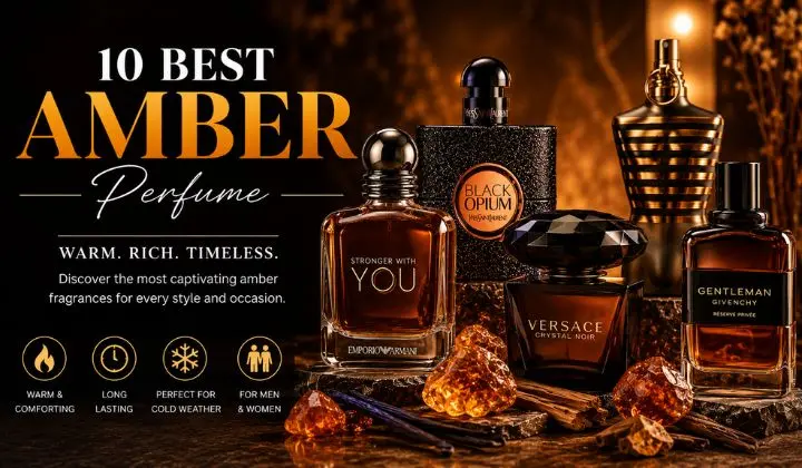 10 Best Amber Perfume for Warm, Long Lasting Fragrance