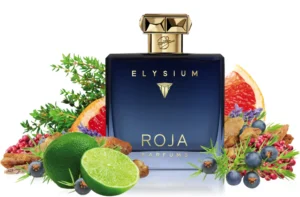 Roja Elysium